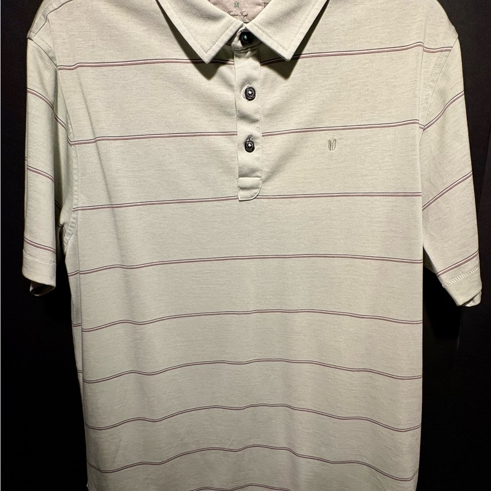 Linksoul Men's Polo Shirt - Light green with black and purple stripes